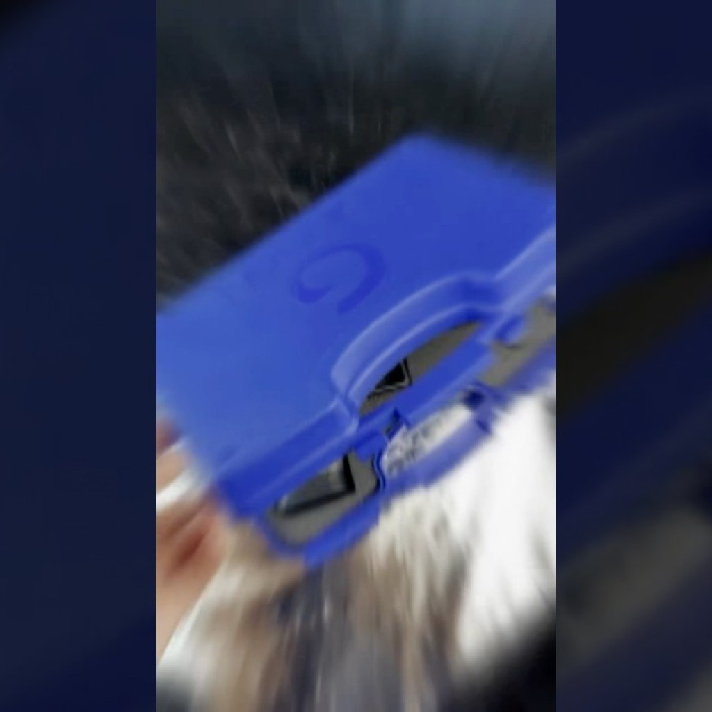 The last one… The last one…