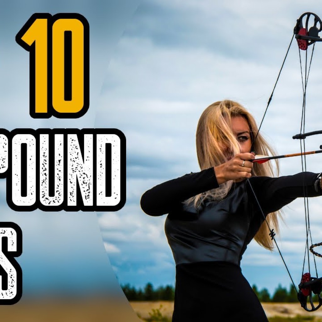 TOP 10 BEST COMPOUND BOW 2020 TOP 10 BEST COMPOUND BOW 2020
