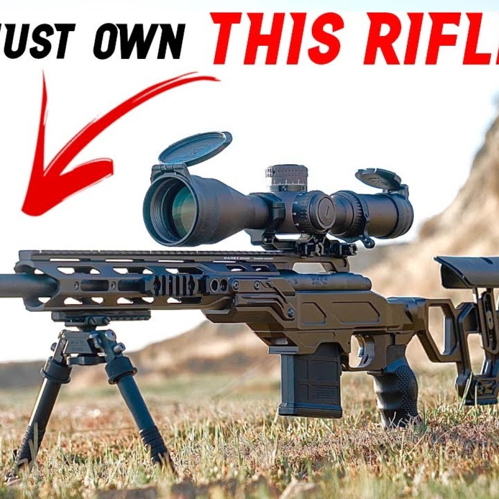 5 Best Next Level Precision & Sniper Rifles for 2023 5 Best Next Level Precision & Sniper Rifles for 2023