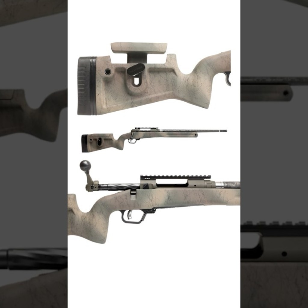 ITS BACK! OMG! ITS BACK! OMG!