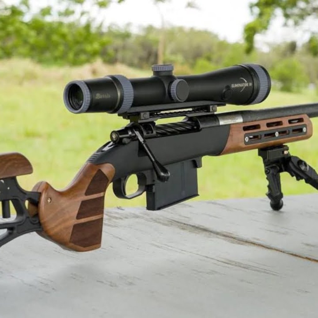 Top 10 Best Rimfire Rifles In The World! (.22LR, 17HMR, 17WSM, 5mm RM) Top 10 Best Rimfire Rifles In The World! (.22LR, 17HMR, 17WSM, 5mm RM)