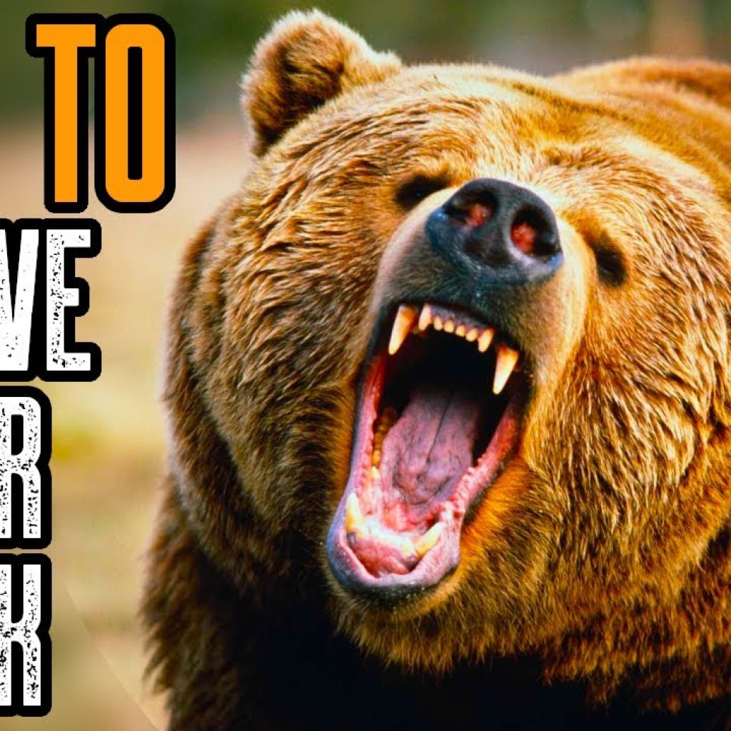 HOW TO SURVIVE A BEAR ATTACK | BEST TIPS TO SURVIVE A GRIZZLY BEAR ATTACK HOW TO SURVIVE A BEAR ATTACK | BEST TIPS TO SURVIVE A GRIZZLY BEAR ATTACK