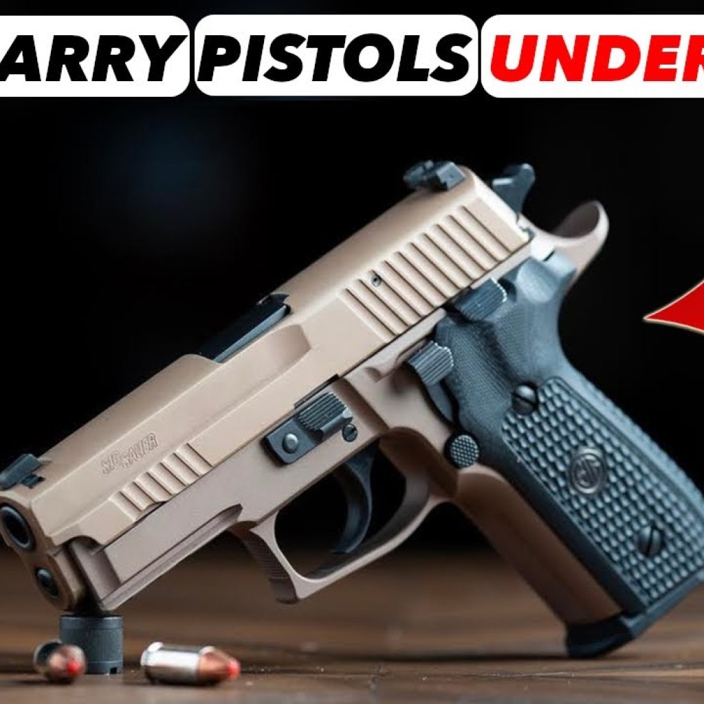 The 7 Best Concealed Carry Pistols for Under 0 The 7 Best Concealed Carry Pistols for Under 0