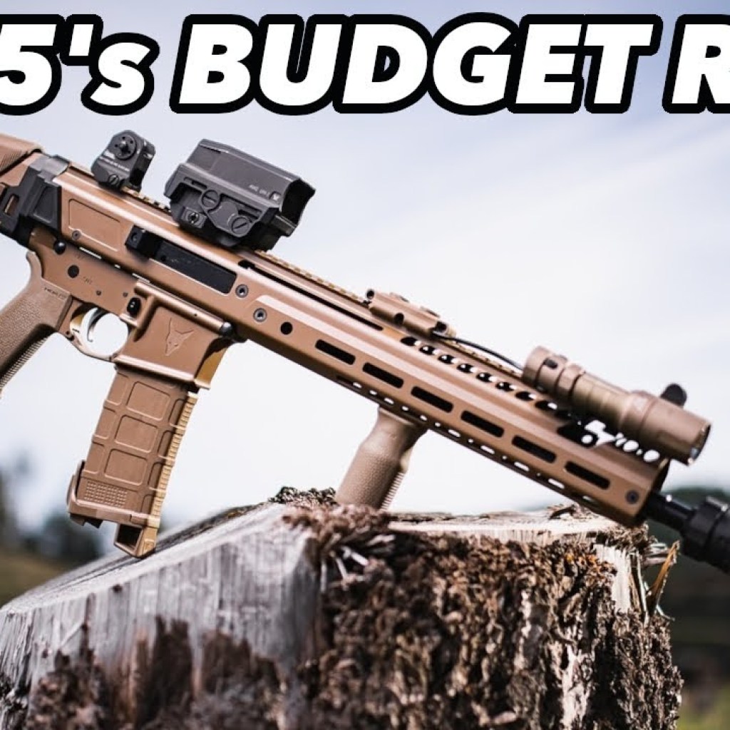 Why THIS Low Cost 2025 Rifle Is the Best for Home Defense! Why THIS Low Cost 2025 Rifle Is the Best for Home Defense!