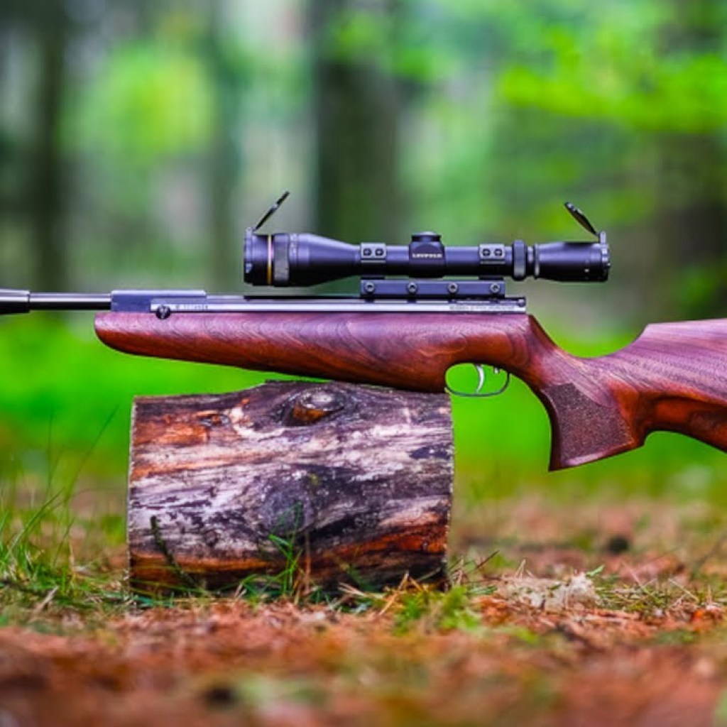 Top 10 Most Powerful Break Barrels Air Rifles Top 10 Most Powerful Break Barrels Air Rifles