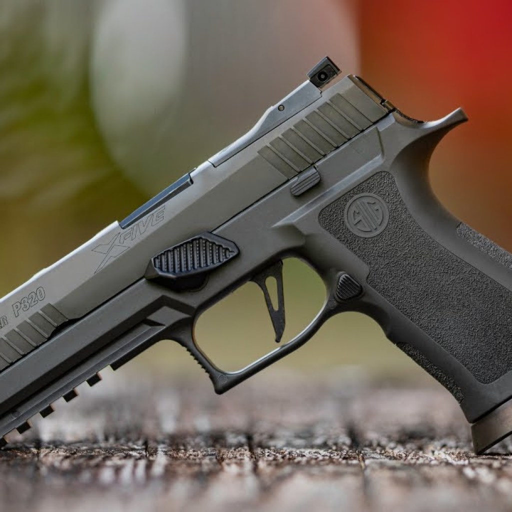TOP 5 Best 10mm Pistols & Handguns For 2023 TOP 5 Best 10mm Pistols & Handguns For 2023