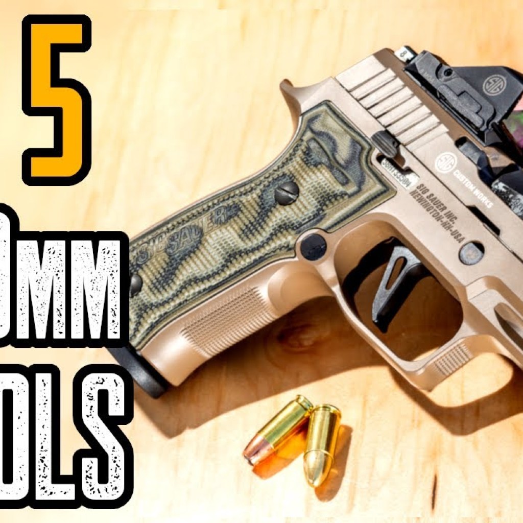 TOP 5 BEST SIG SAUER 9MM PISTOLS 2021 TOP 5 BEST SIG SAUER 9MM PISTOLS 2021