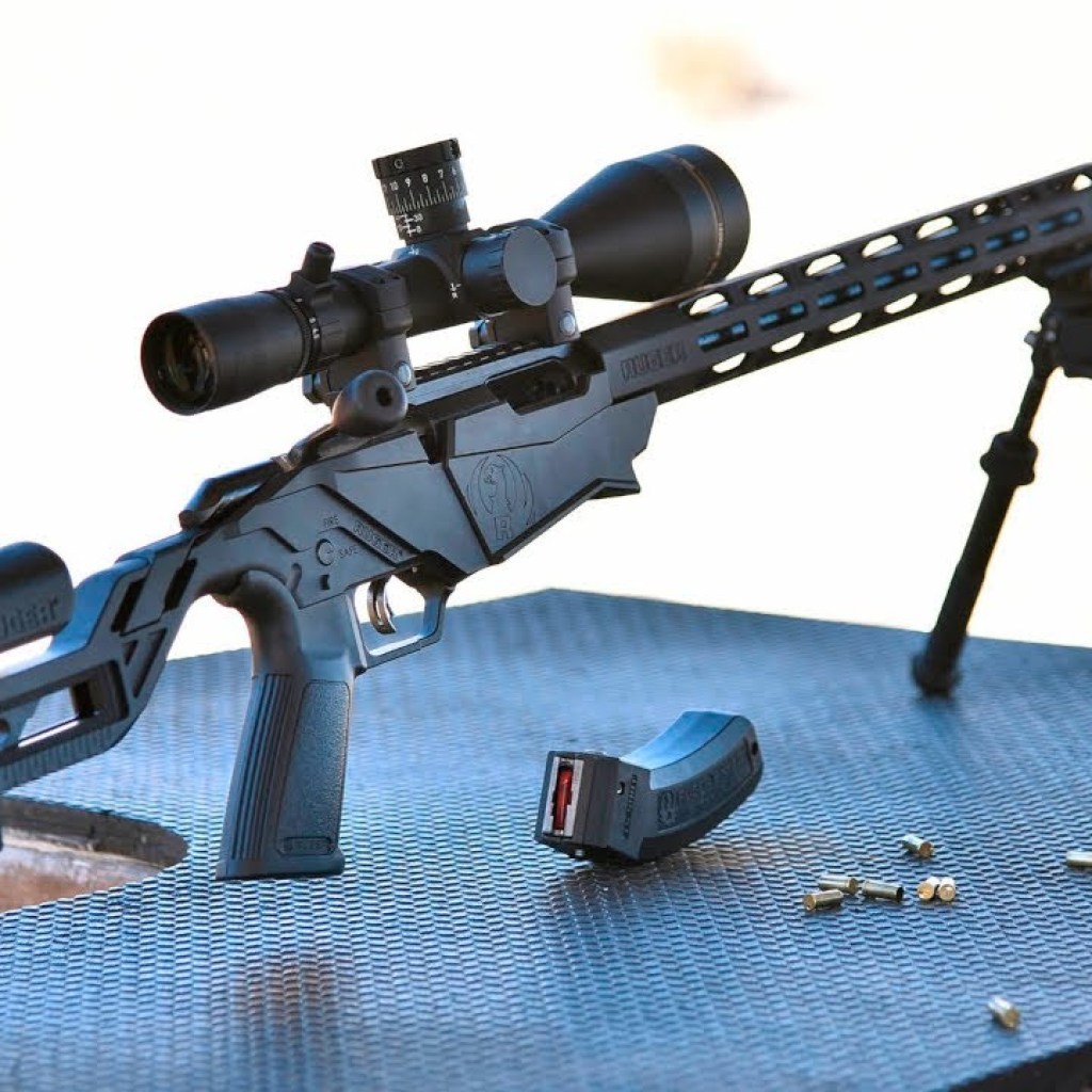 Top 10 Best .17 HMR Rifles for Plinking and Varmint Hunting Top 10 Best .17 HMR Rifles for Plinking and Varmint Hunting