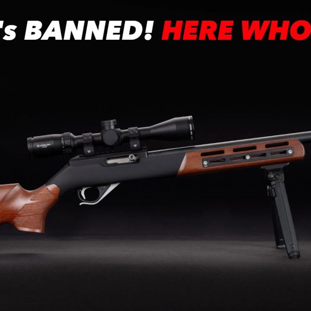 Ruger Guns are Being BANNED in America! Here’s Who’s NEXT! Ruger Guns are Being BANNED in America! Here’s Who’s NEXT!
