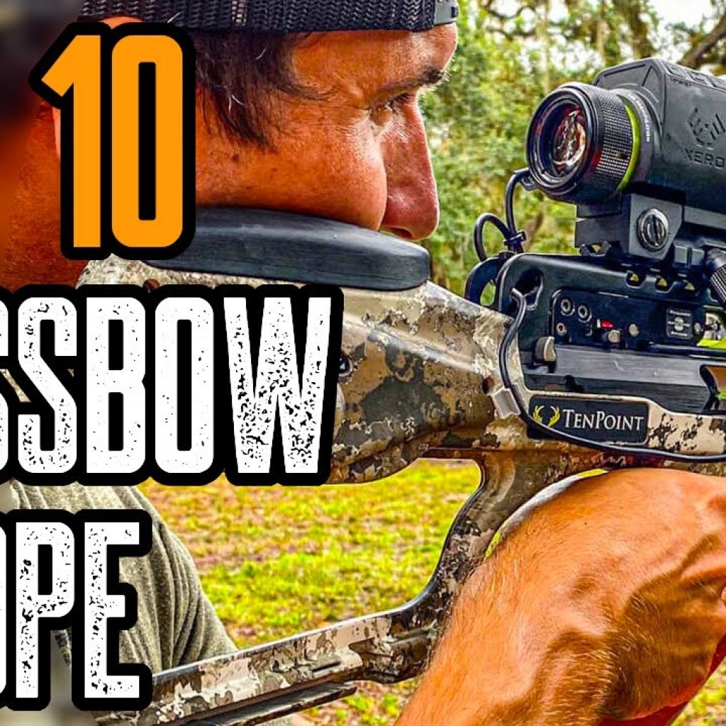 Top 10 Best Crossbow Scopes For The Money Top 10 Best Crossbow Scopes For The Money
