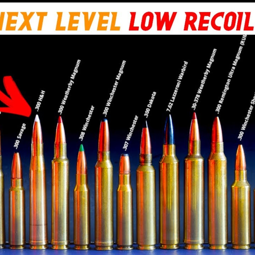Top 8 Low Recoil Hunting Calibers in 2023! Top 8 Low Recoil Hunting Calibers in 2023!