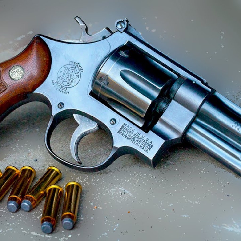 Top 10 Bear Defense Guns That Could Save Your Life Top 10 Bear Defense Guns That Could Save Your Life