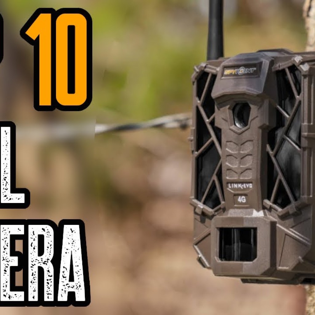 TOP 10 BEST TRAIL CAMERAS 2020 | BEST GAME CAMERA TOP 10 BEST TRAIL CAMERAS 2020 | BEST GAME CAMERA
