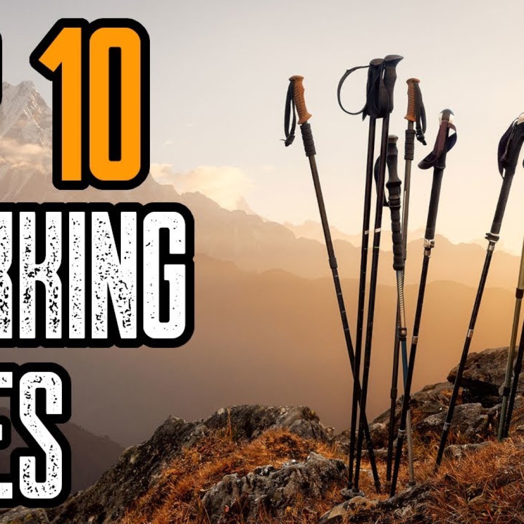 TOP 10 BEST TREKKING POLES 2021 TOP 10 BEST TREKKING POLES 2021