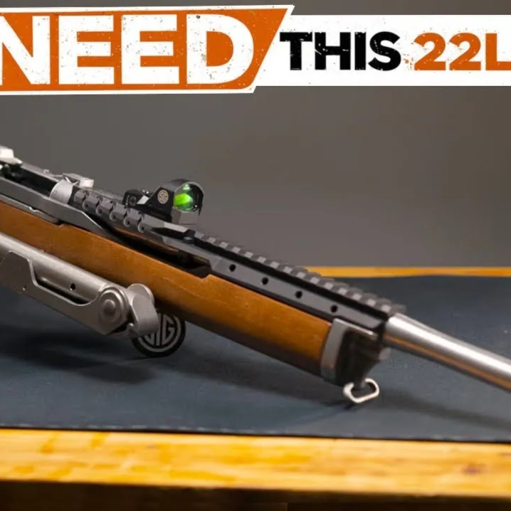 Best .22 LR Rifles 2025! Who’s On Top NOW? Best .22 LR Rifles 2025! Who’s On Top NOW?
