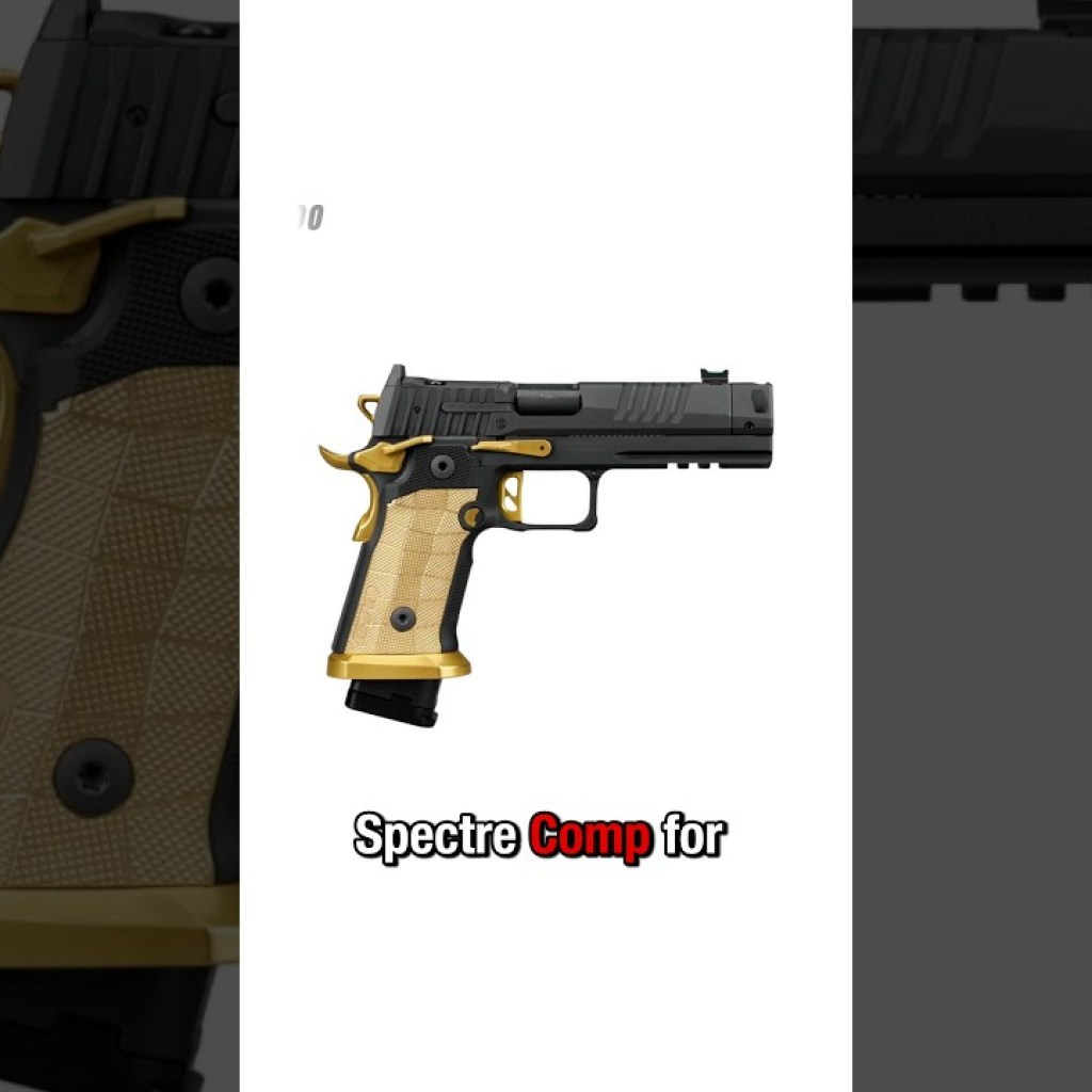 AR15’s the best BUDGET gun! AR15’s the best BUDGET gun!