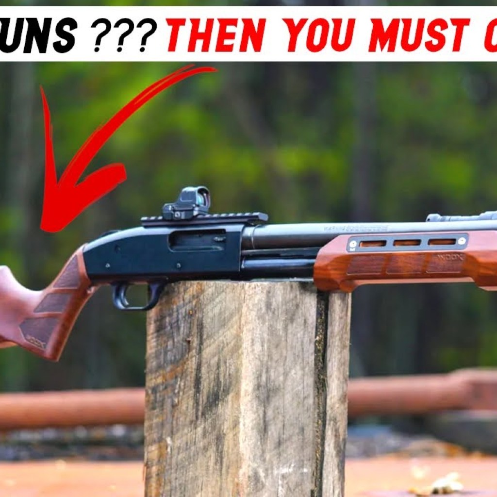 Top 5 Guns Everyone Needs – If You Could Only Have 5 Guns Top 5 Guns Everyone Needs – If You Could Only Have 5 Guns