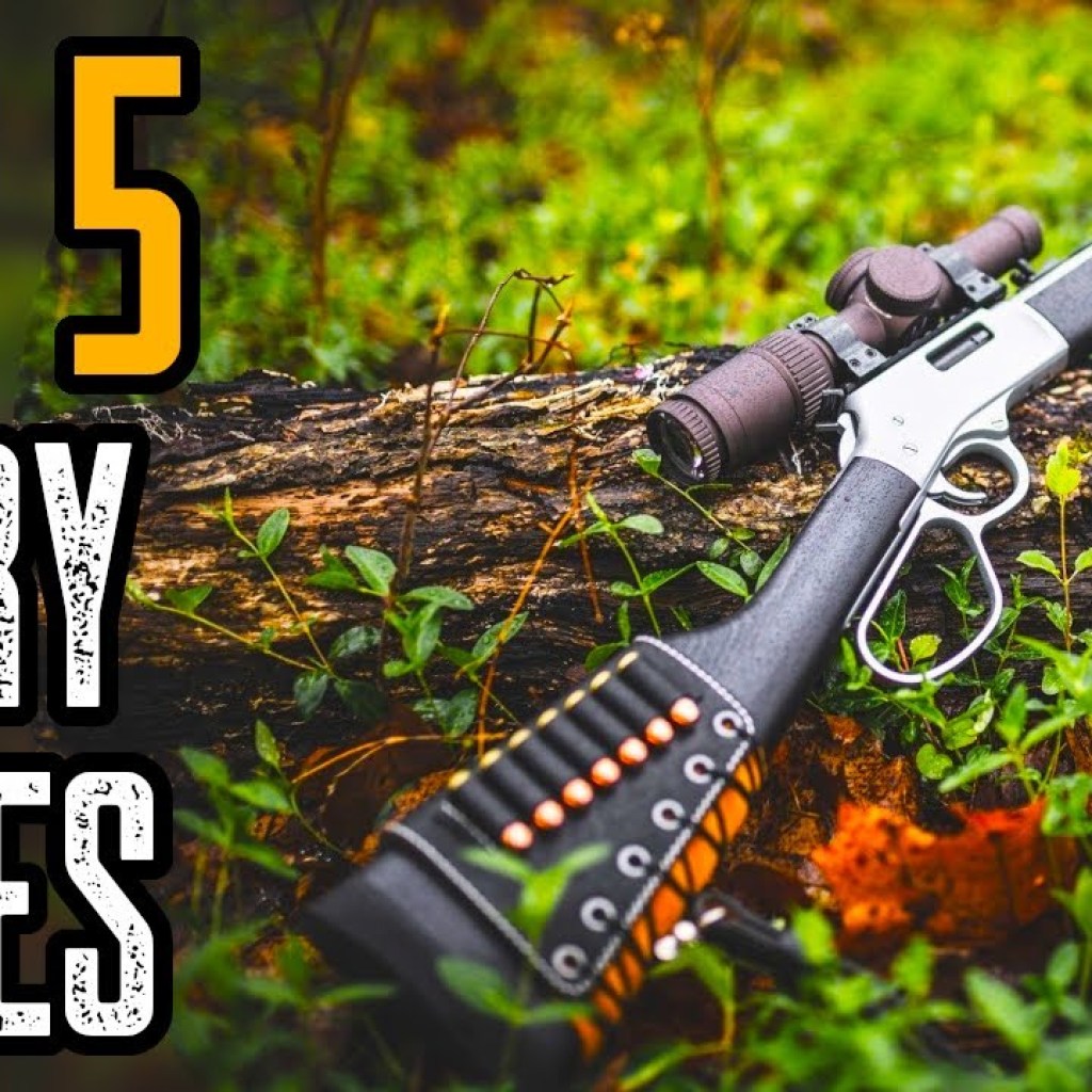 Top 5 Best Henry Lever Action Rifles For Home Defense and Hunting Top 5 Best Henry Lever Action Rifles For Home Defense and Hunting