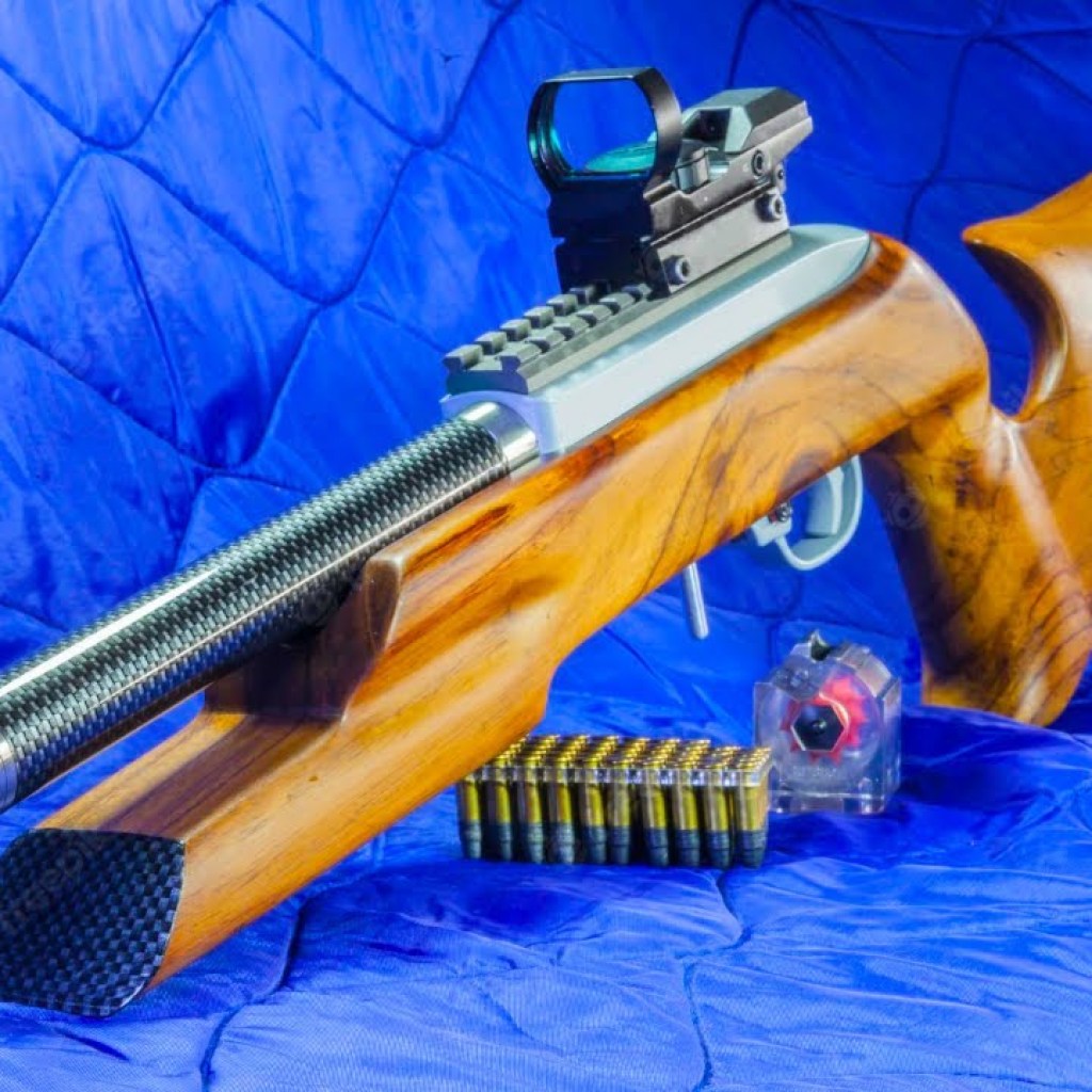 Top 10 Next Level .22 LR Rifles 2022 Top 10 Next Level .22 LR Rifles 2022