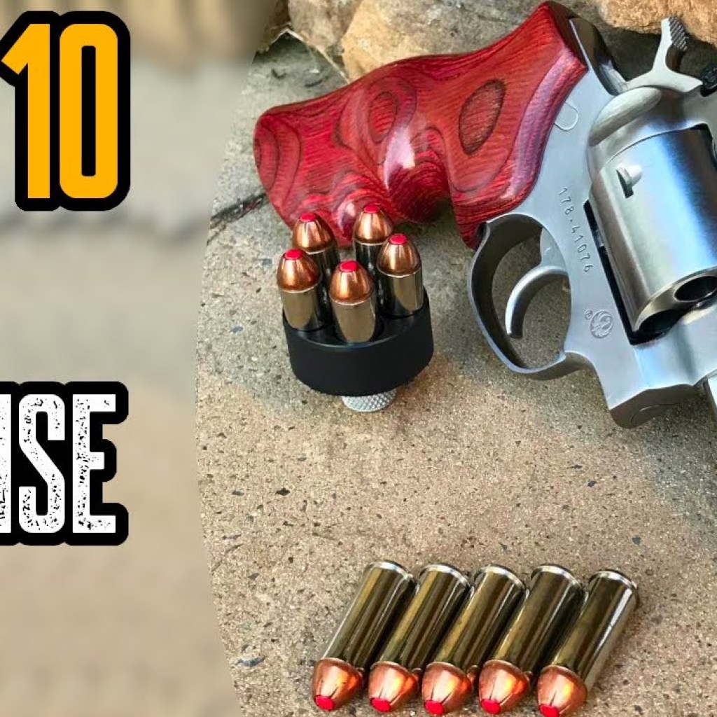 TOP 10 BEST BEAR DEFENSE GUNS (Shotguns, Handguns & Rifles) TOP 10 BEST BEAR DEFENSE GUNS (Shotguns, Handguns & Rifles)