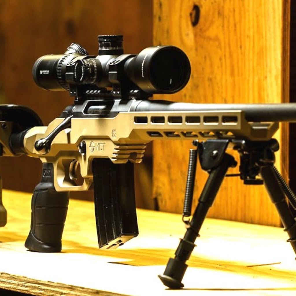 Top 10 Best Budget Precision Rifles 2022 Top 10 Best Budget Precision Rifles 2022