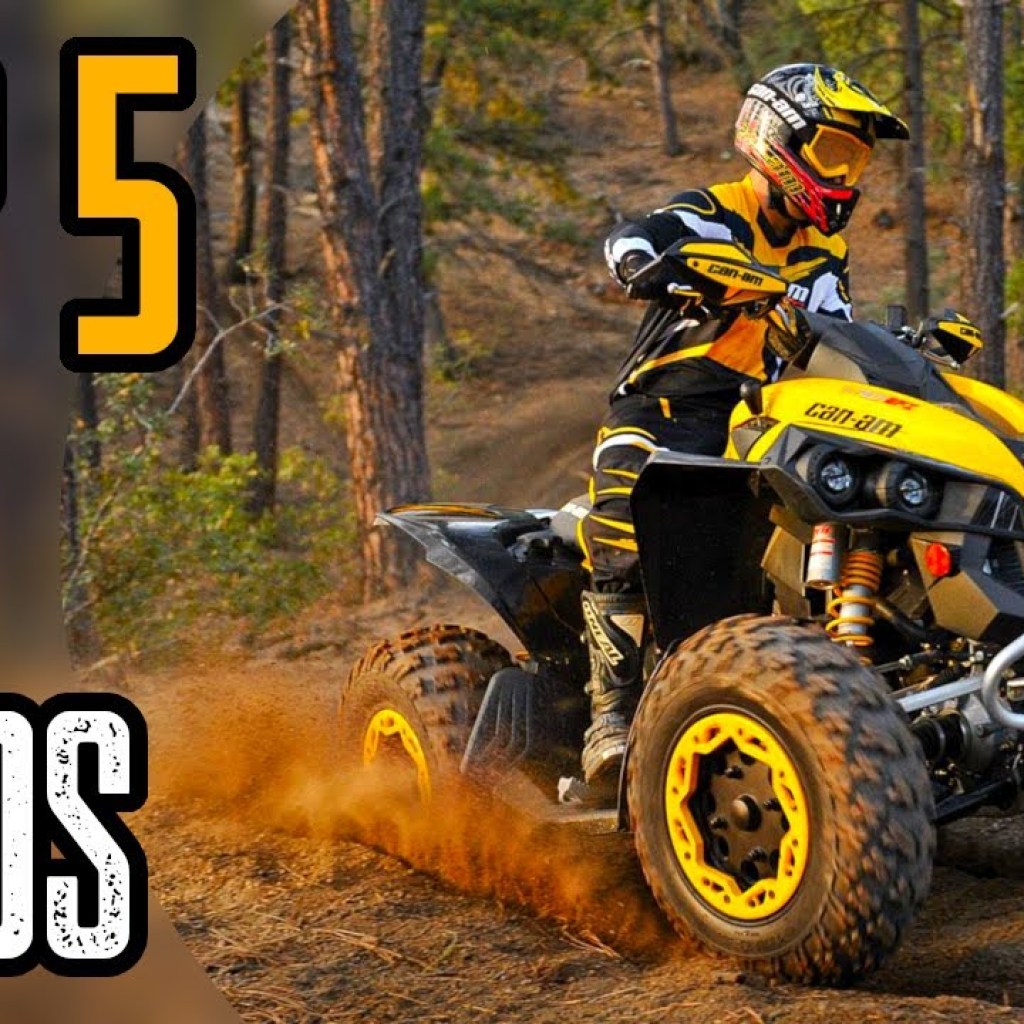 Top 5 Best ATV Quad On The Market Top 5 Best ATV Quad On The Market