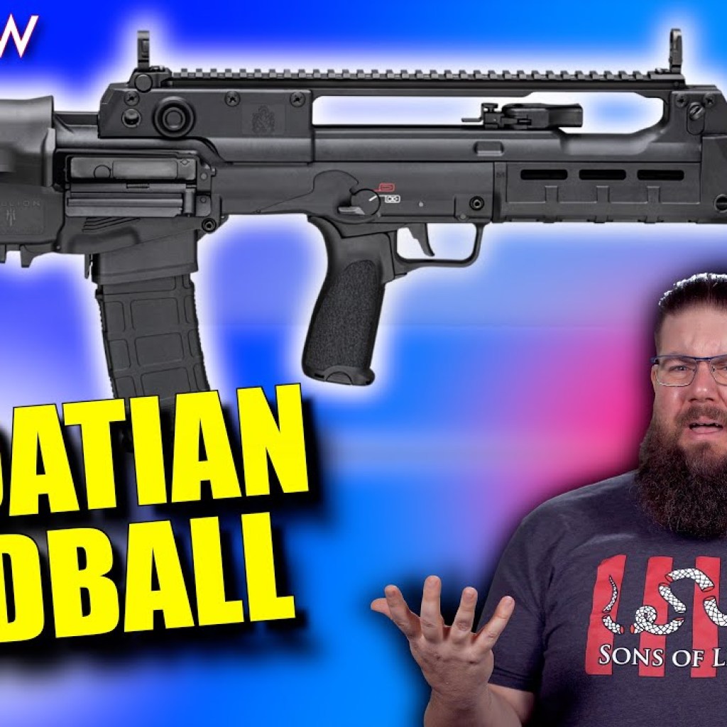 The Springfield Armory Hellion is kinda weird… The Springfield Armory Hellion is kinda weird…