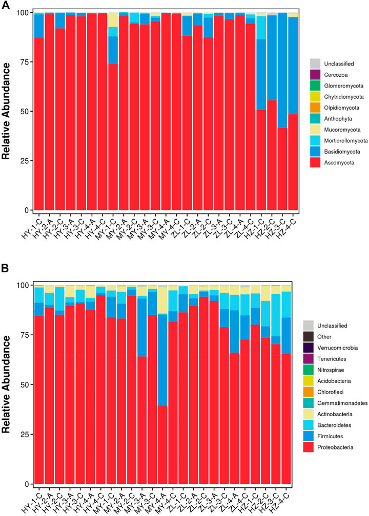 Comparative Analysis of Microbial Community Diversity and Dynamics on Diseased Tubers During Potato Storage in Different Regions of Qinghai China Comparative Analysis of Microbial Community Diversity and Dynamics on Diseased Tubers During Potato Storage in Different Regions of Qinghai China