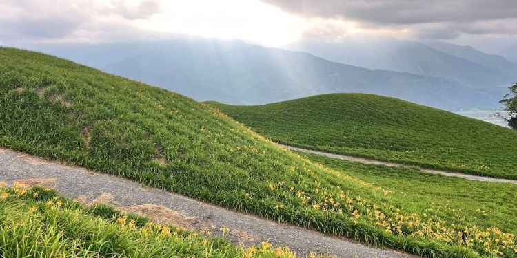六十石山金針花已經開囉 —花季於8月10日起正式展開「忘憂大地感謝祭」 六十石山金針花已經開囉 —花季於8月10日起正式展開「忘憂大地感謝祭」