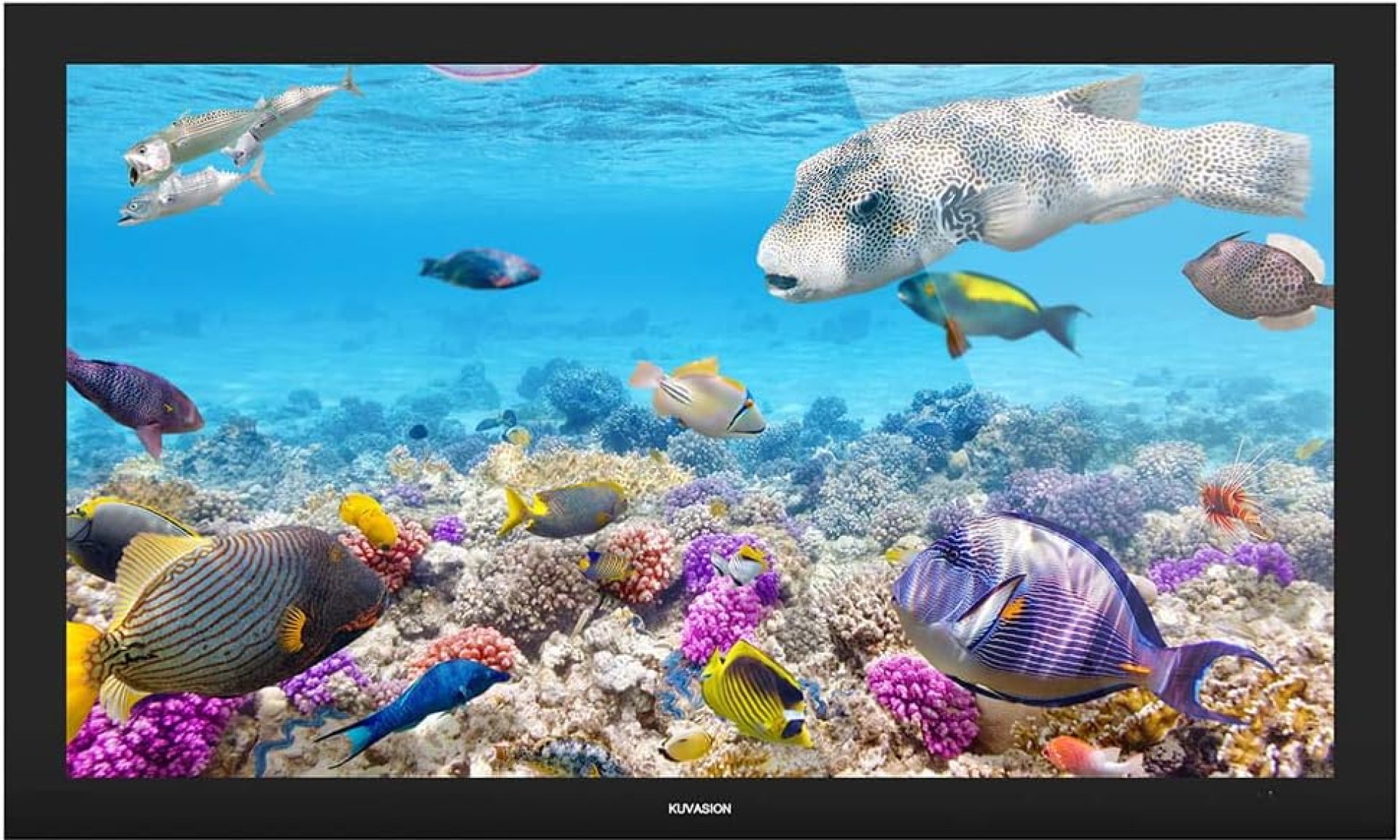 KUVASONG 43 Inches Ultra-Slim Full Sun All-Weather Smart Outdoor TV, True 2000 Nits, 43 Inches Waterproof Sun Readable Outdoor TV, Garden TV, Swimming Pool TV, Patio TV KUVASONG 43 Inches Ultra-Slim Full Sun All-Weather Smart Outdoor TV, True 2000 Nits, 43 Inches Waterproof Sun Readable Outdoor TV, Garden TV, Swimming Pool TV, Patio TV
