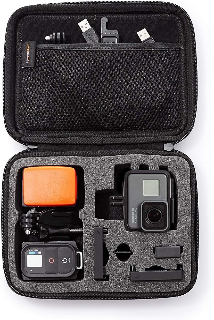 Amazon Basics Small Carrying Case for GoPro And Accessories, 9 x 7 x 2.5 Inches, Solid, Black Amazon Basics Small Carrying Case for GoPro And Accessories, 9 x 7 x 2.5 Inches, Solid, Black