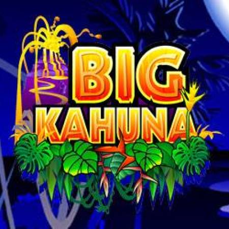 Big Kahuna Slot Big Kahuna Slot