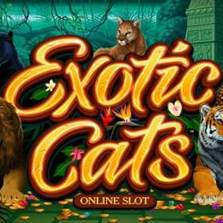 Exotic Cats Slot Exotic Cats Slot