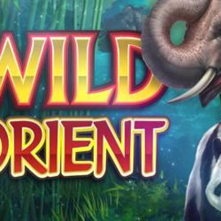 Wild Orient Slot Wild Orient Slot