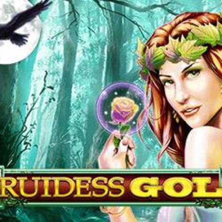 Druidess Gold Slot Druidess Gold Slot