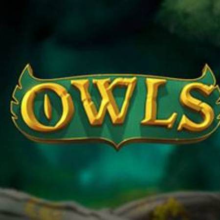 Owls Slot Owls Slot