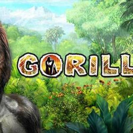 Gorilla Slot Gorilla Slot