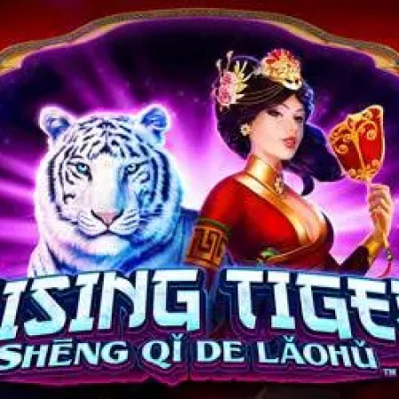 Rising Tiger Sheng Qi De Laohu Slot Rising Tiger Sheng Qi De Laohu Slot