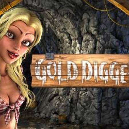 Gold Diggers Slot Gold Diggers Slot