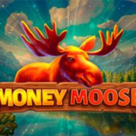 Money Moose Slot Money Moose Slot