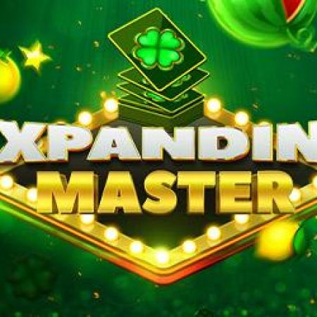 Expanding Master Slot Expanding Master Slot
