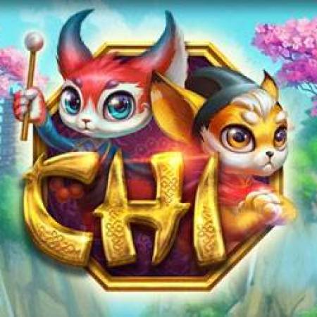 Chi Slot Chi Slot