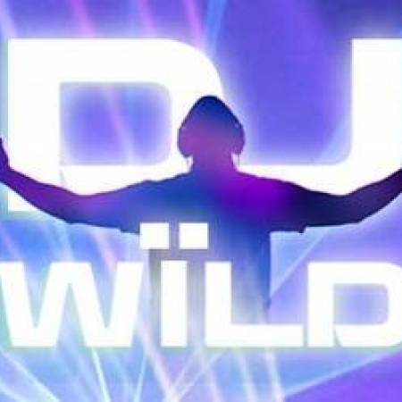 Dj Wild Slot Dj Wild Slot