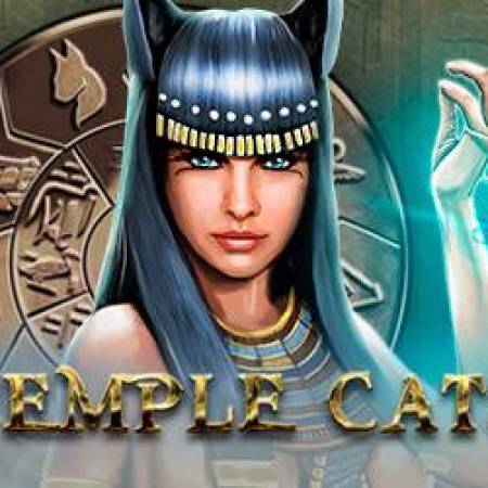 Temple Cats Slot Temple Cats Slot
