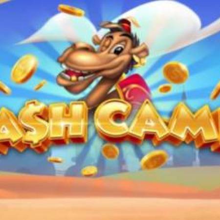 Cash Camel Slot Cash Camel Slot