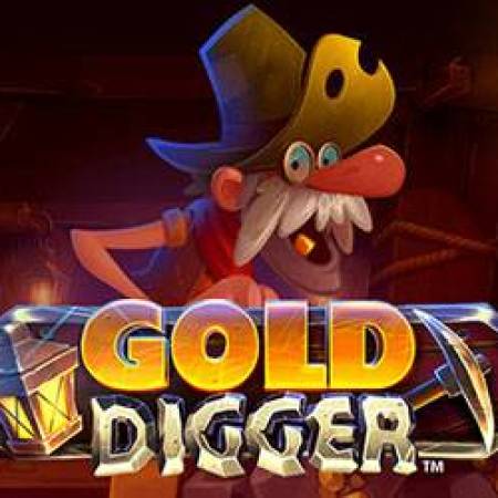 Gold Digger Slot Gold Digger Slot