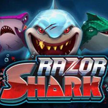 Razor Shark Slot Review: RTP, Max Win and Razor Reveal Explained Razor Shark Slot Review: RTP, Max Win and Razor Reveal Explained