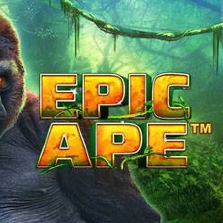 Epic Ape Slot Epic Ape Slot
