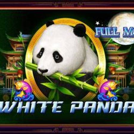 Full Moon White Panda Slot Full Moon White Panda Slot