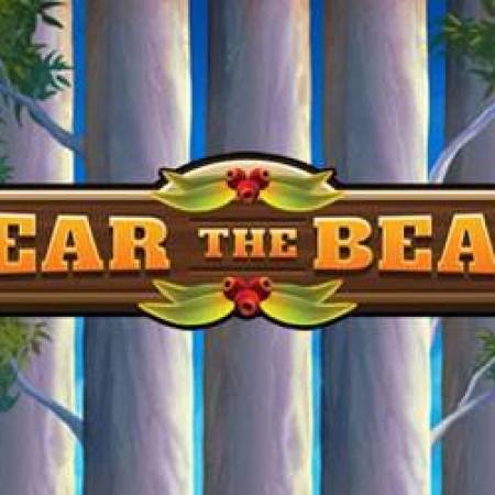 Fear the Bear Slot Fear the Bear Slot